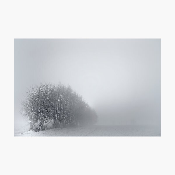 Trees; Mist Photographic Print