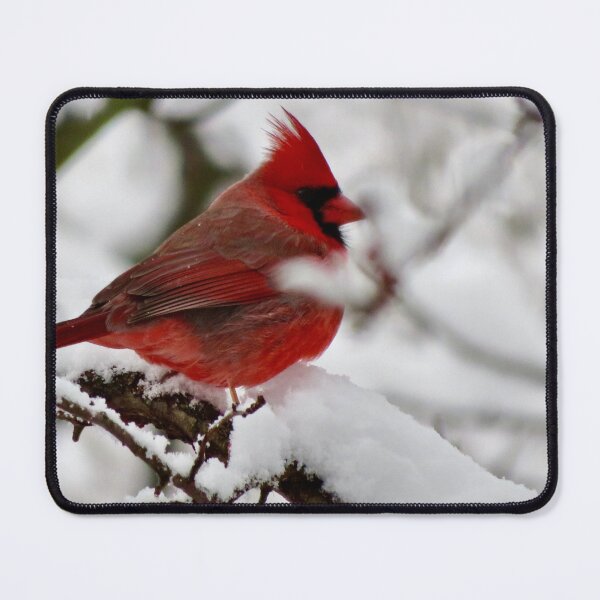 Item preview, Winter Cardinal 4 designed and sold by GDGCreations.