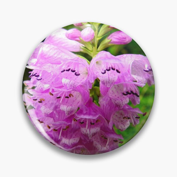 Item preview, Beautiful Lilac Foxglove designed and sold by AussieAl.