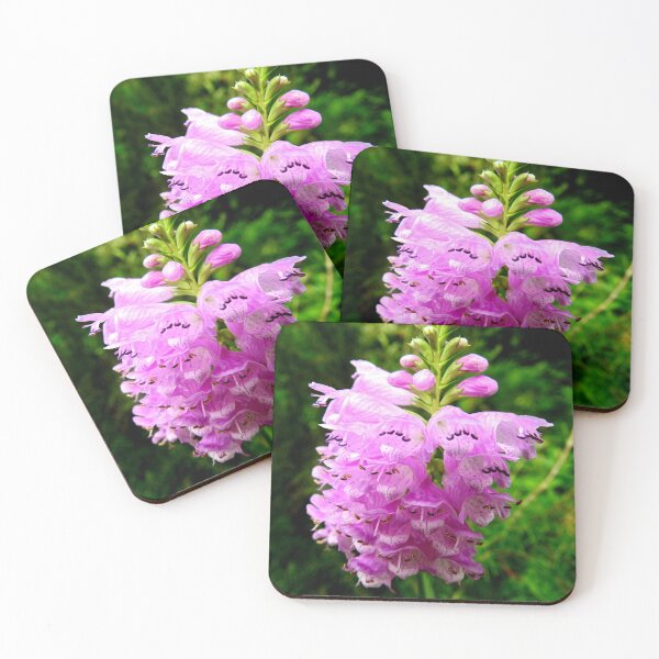 Item preview, Beautiful Lilac Foxglove designed and sold by AussieAl.