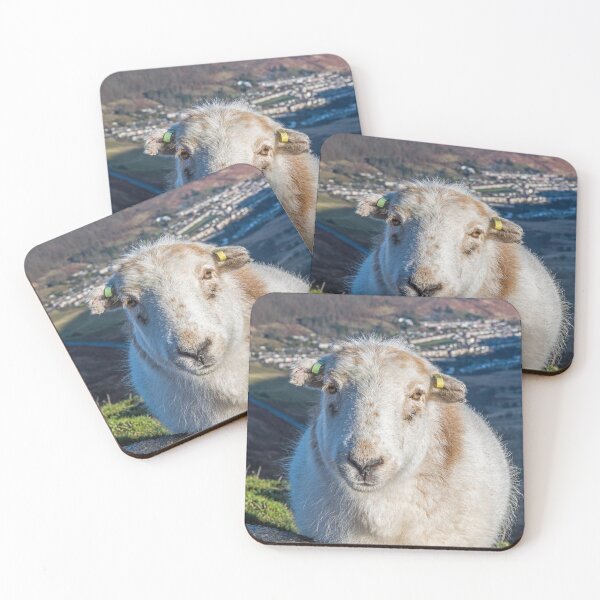 Item preview, Rhondda Sheep Pleading for Food. "It's not unusual....." !! designed and sold by Cameranick.
