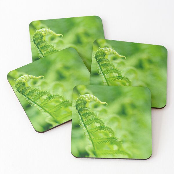 Item preview, The Dance of a Fern designed and sold by LizAlbroPhotos.