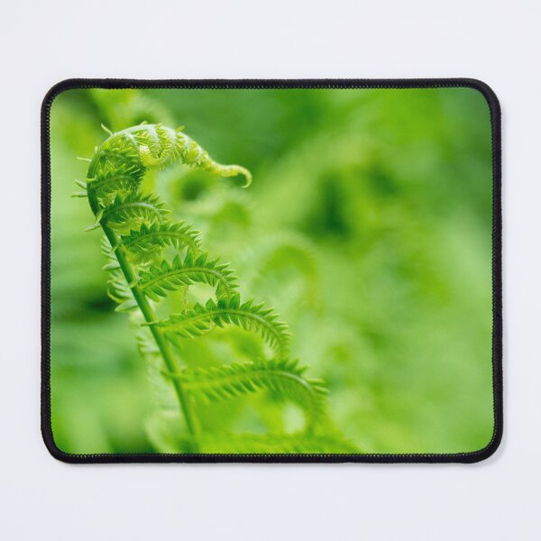 Item preview, The Dance of a Fern designed and sold by LizAlbroPhotos.