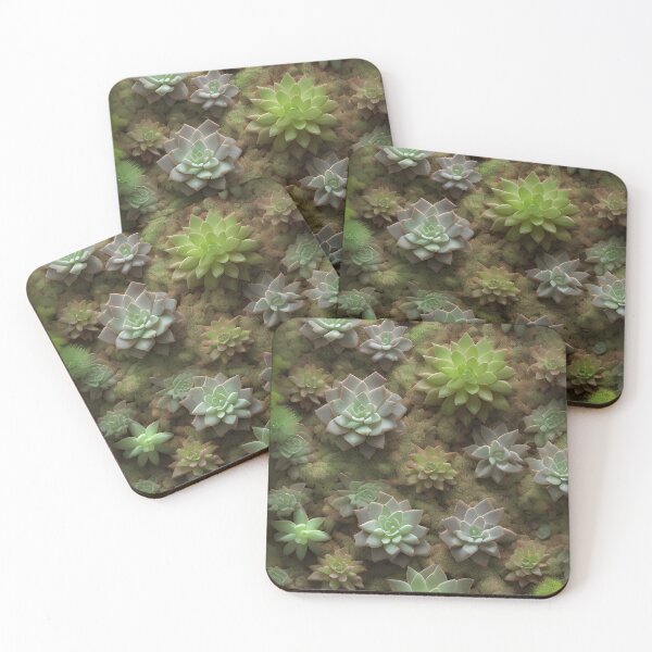 Item preview, Succulents designed and sold by amac1662.