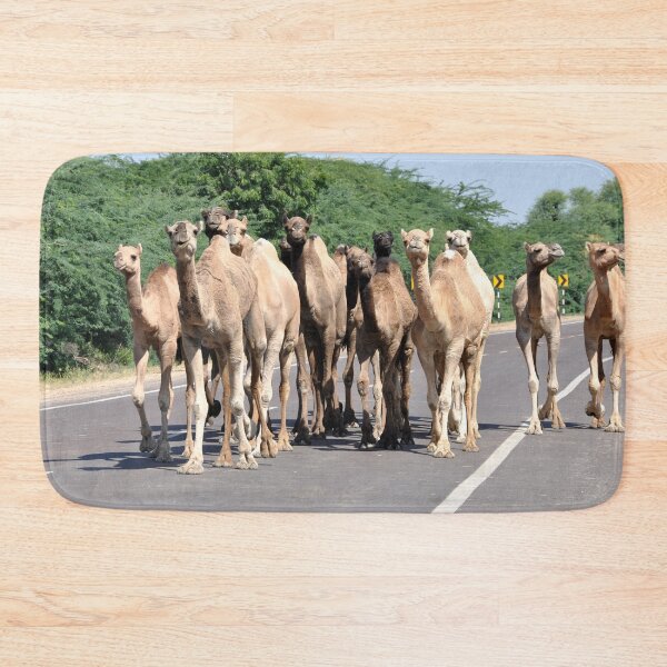 Item preview, India- camels on the road designed and sold by franck380.