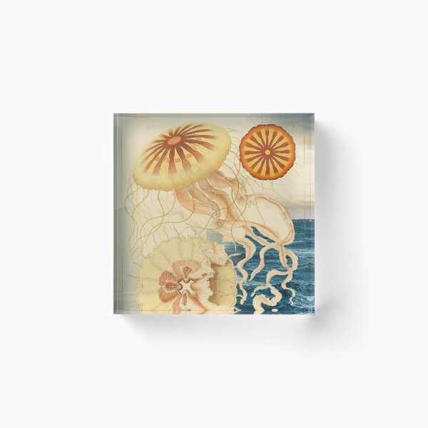 Item preview, Ocean Jellyfish  designed and sold by onenorthstars.
