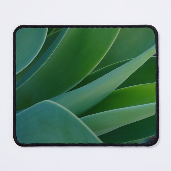 Item preview, Simple Lines of Agave Leaves designed and sold by jaynerushton.
