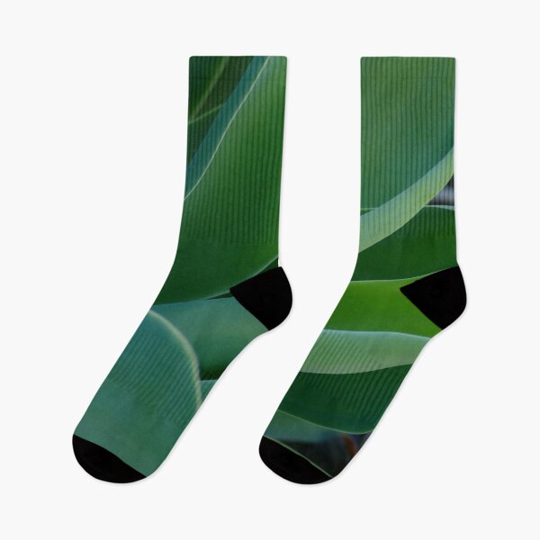 Item preview, Simple Lines of Agave Leaves designed and sold by jaynerushton.