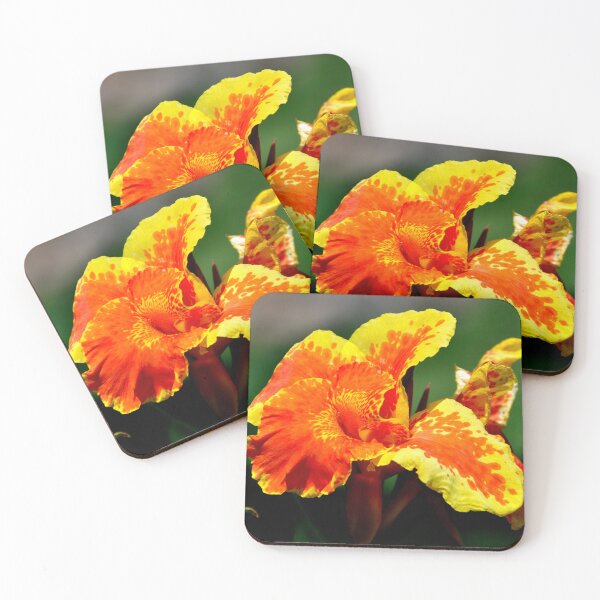Item preview, India - Udaipur, Flower designed and sold by franck380.