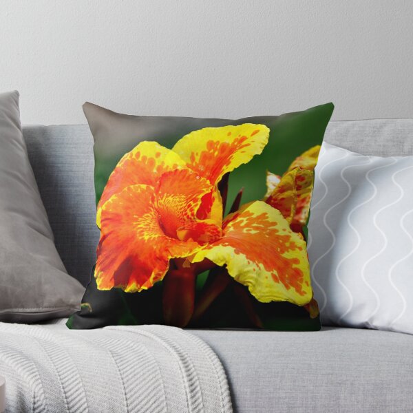 https://ih1.redbubble.net/image.4978386122.7597/throwpillow,small,600x-bg,f8f8f8-c,0,120,600,600.jpg