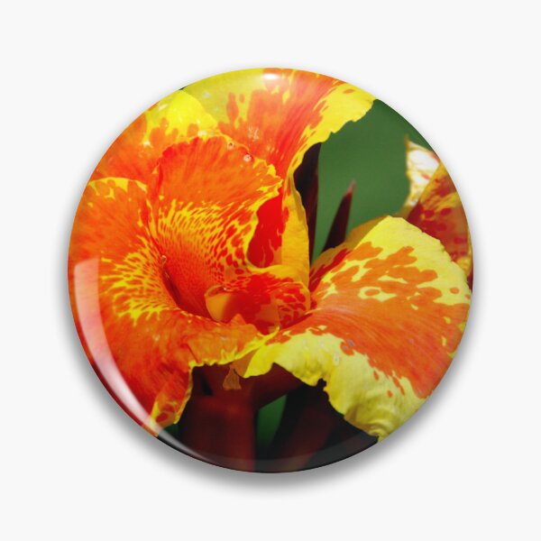 Item preview, India - Udaipur, Flower designed and sold by franck380.