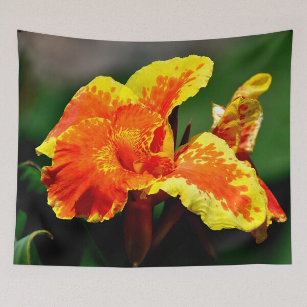 Item preview, India - Udaipur, Flower designed and sold by franck380.
