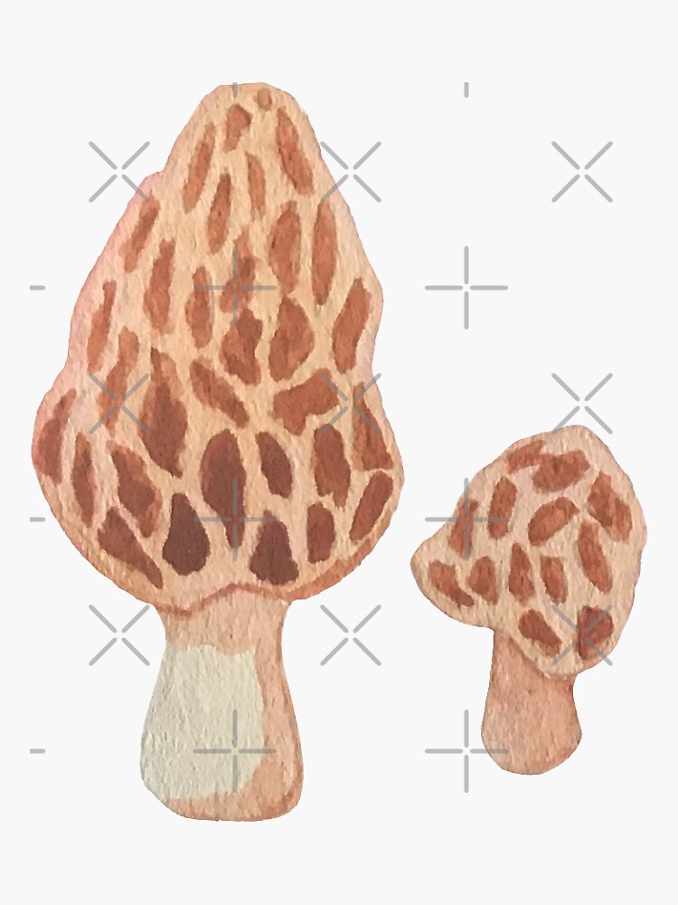 "Morels" Sticker for Sale by fernflutter Redbubble