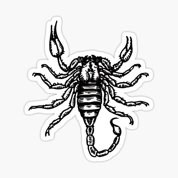 Item preview, Scorpio Doodle designed and sold by Artistically Chaotic.