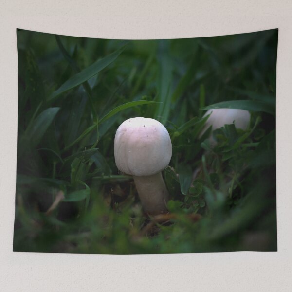 Item preview, Mushroom designed and sold by Jacquiamber.