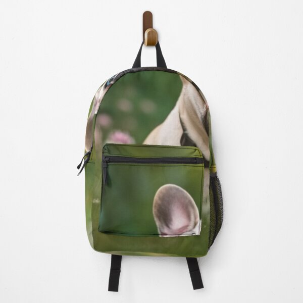 Item preview, A French Bulldog sitting on a lush green grass field designed and sold by Buyfastcart.