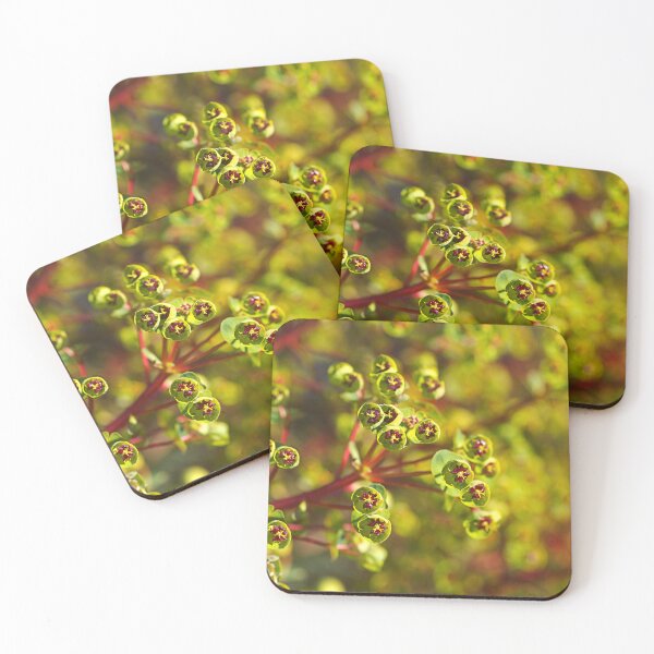 Item preview, Mediterranean Spurge Flowers Green Red  designed and sold by Joy Watson - Natural Light Photography .
