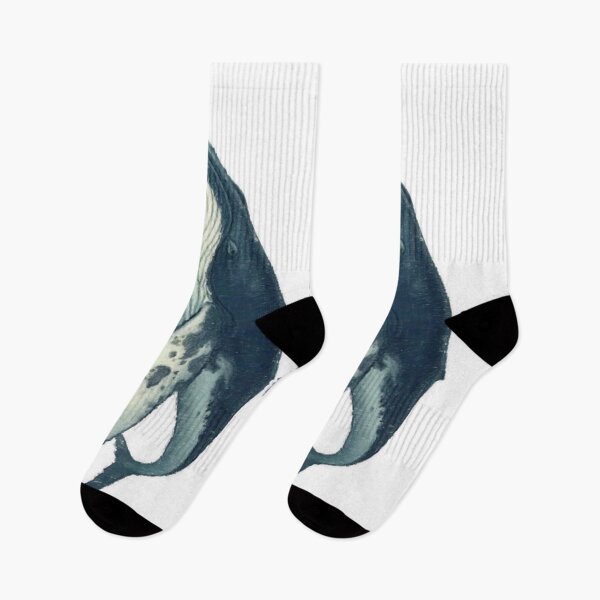 Item preview, Humpback Whale migrating in the Pacific Ocean. designed and sold by DAEWI PARK.