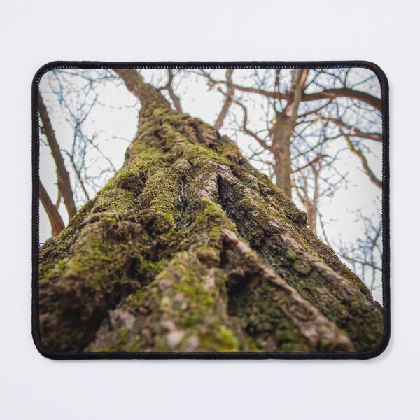 Item preview, tree with moss designed and sold by Wolf22floW.