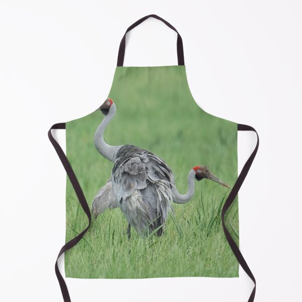 Item preview, Brolga designed and sold by Peter Keepence.