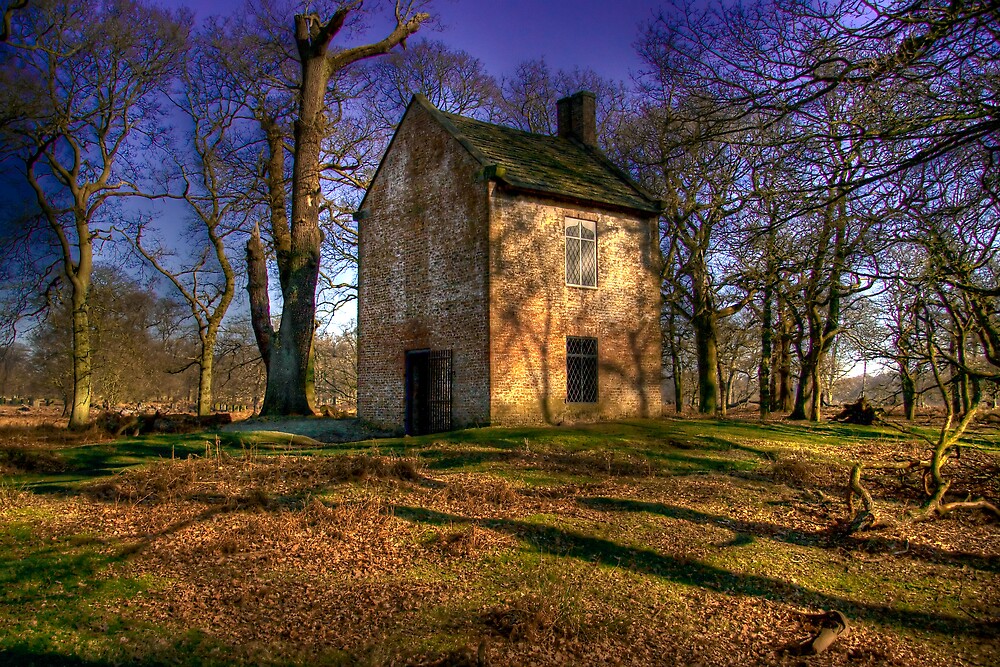 "The Little House." by Tony Wilkinson | Redbubble