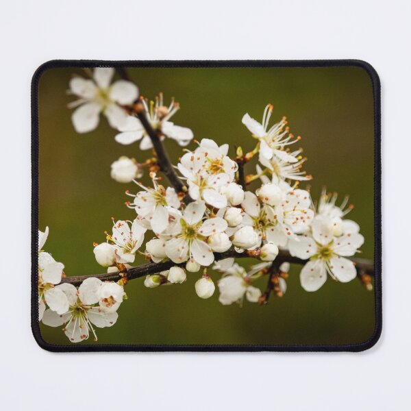 Item preview, flowering tree designed and sold by Wolf22floW.