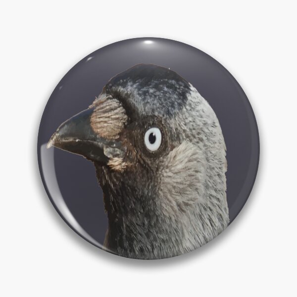 Item preview, Side Profile Of A Beady Eyed Jackdaw Cut Out designed and sold by taiche.
