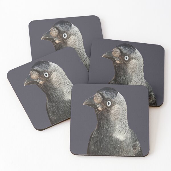 Item preview, Side Profile Of A Beady Eyed Jackdaw Cut Out designed and sold by taiche.
