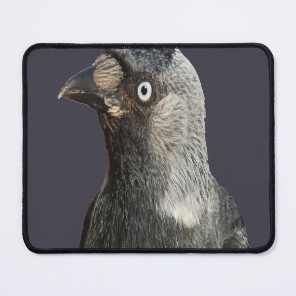 Item preview, Side Profile Of A Beady Eyed Jackdaw Cut Out designed and sold by taiche.
