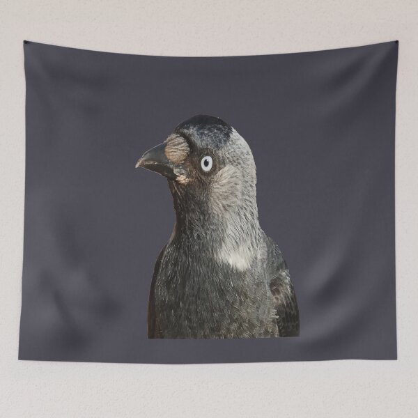 Item preview, Side Profile Of A Beady Eyed Jackdaw Cut Out designed and sold by taiche.