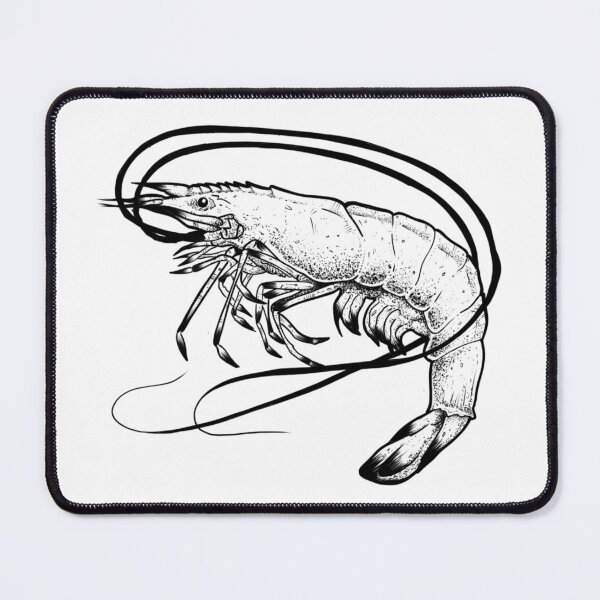Item preview, Shrimp designed and sold by ART-FI.