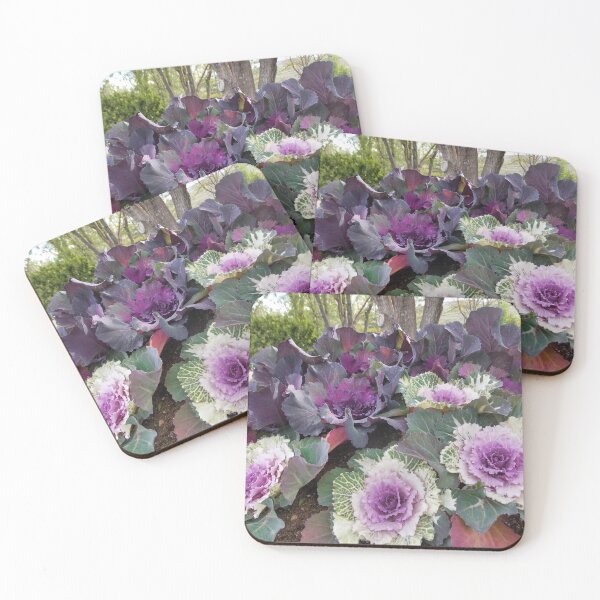 Item preview, Purple Spring Kale   designed and sold by OnigiriSuiko.