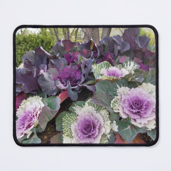 Item preview, Purple Spring Kale   designed and sold by OnigiriSuiko.