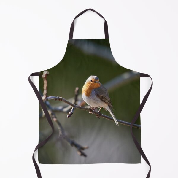Item preview, European robin posing designed and sold by Jouko Lehto Photography.