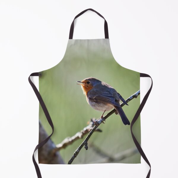 Item preview, Light green songs. European robin designed and sold by Jouko Lehto Photography.