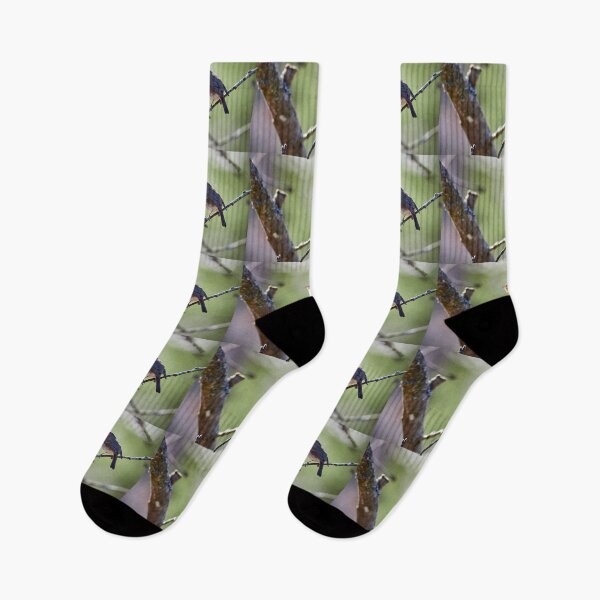 Item preview, Light green songs. European robin designed and sold by Jouko Lehto Photography.