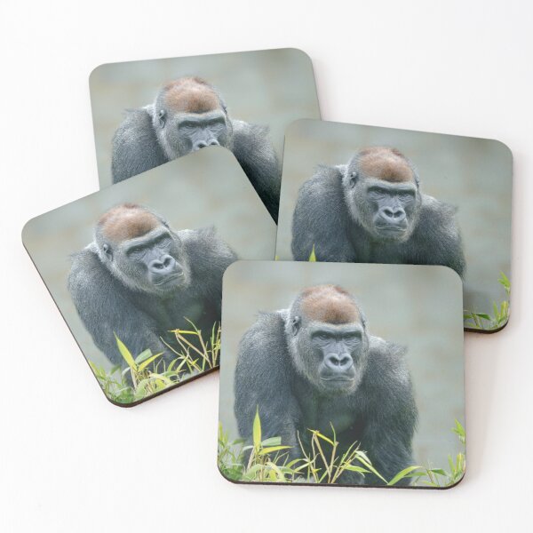 Item preview, Blackback Gorilla Lope designed and sold by rawshutterbug.