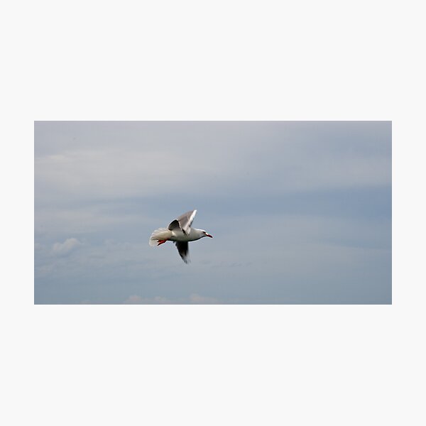 Item preview, Fly Like a Bird designed and sold by Igor Janicijevic.