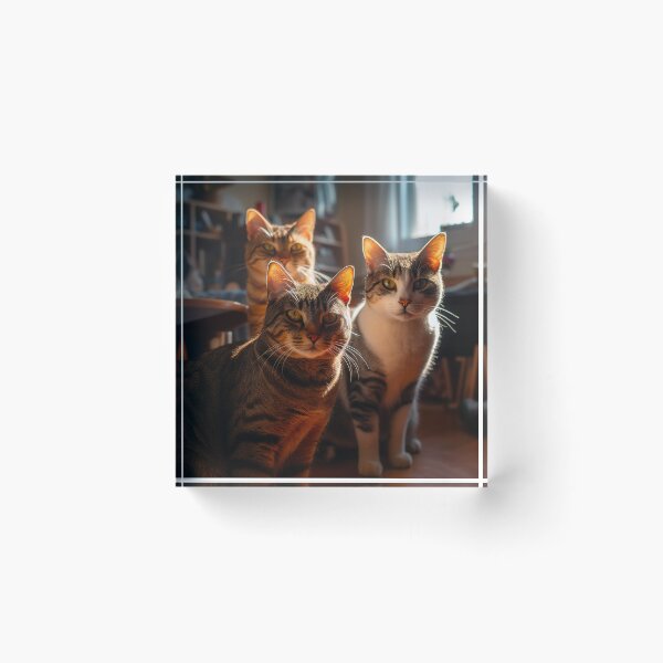 Item preview, The cats designed and sold by Kadhaf.