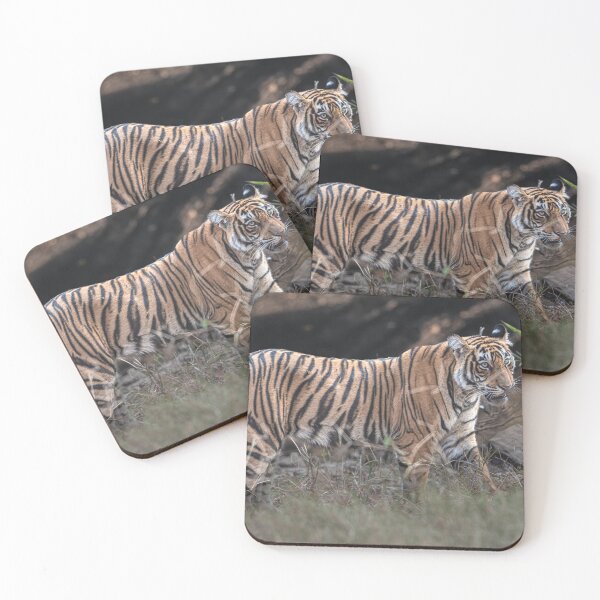 Item preview, Tiger on the prowl designed and sold by Pravine Chester.