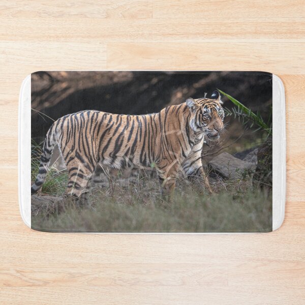 Item preview, Tiger on the prowl designed and sold by Pravine Chester.