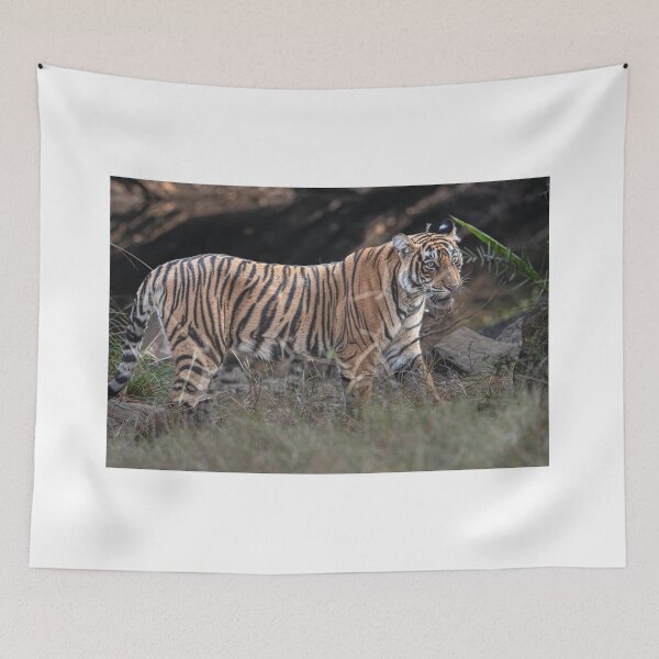 Item preview, Tiger on the prowl designed and sold by Pravine Chester.