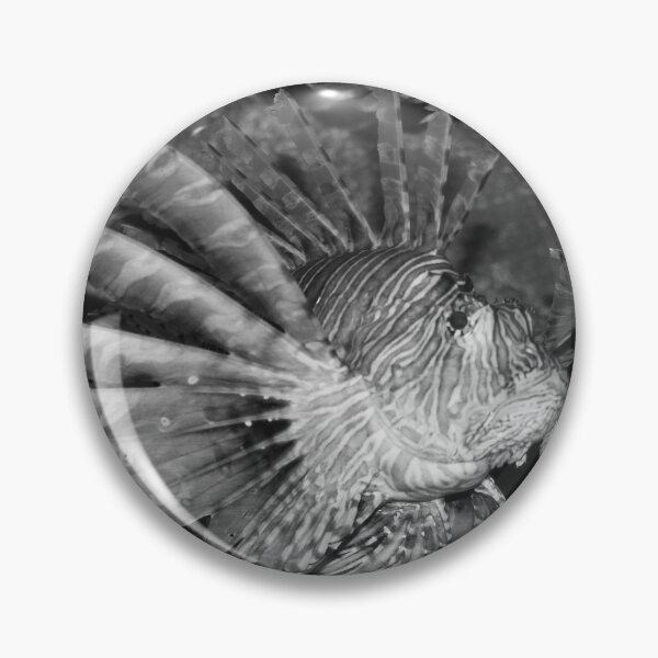 Item preview, Fancy Lion fish nature lovers black and white designed and sold by eddiebarronshop.