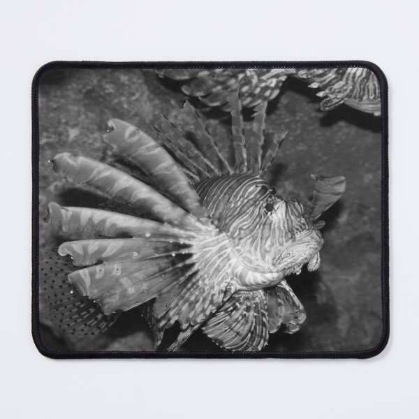 Item preview, Fancy Lion fish nature lovers black and white designed and sold by eddiebarronshop.