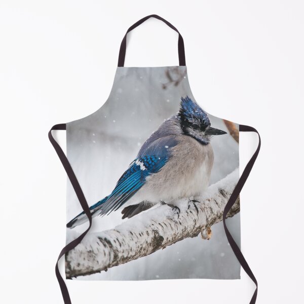 Artikelvorschau, Blue Jay im Winter entworfen und verkauft von Michael Cummings.