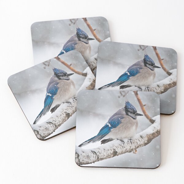 Artikelvorschau, Blue Jay im Winter entworfen und verkauft von Michael Cummings.