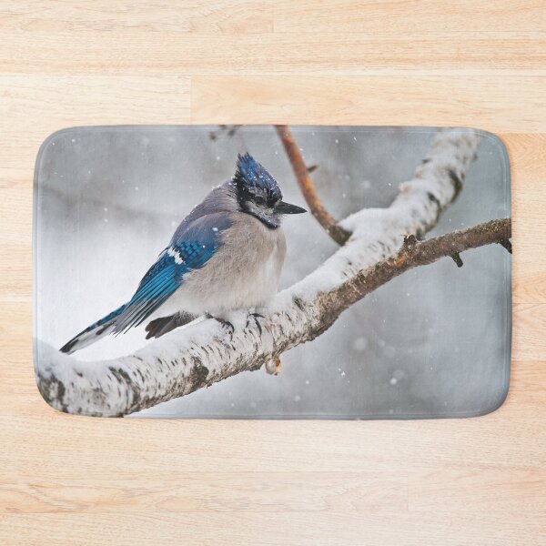 Artikelvorschau, Blue Jay im Winter entworfen und verkauft von Michael Cummings.