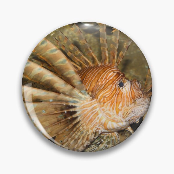 Item preview, Lion fish nature beauty exploris  designed and sold by eddiebarronshop.