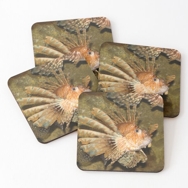 Item preview, Lion fish nature beauty exploris  designed and sold by eddiebarronshop.