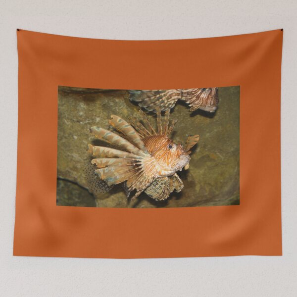 Item preview, Lion fish nature beauty exploris  designed and sold by eddiebarronshop.